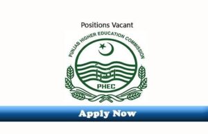 Governments Job Works in Multan: Your Path to PPSC 