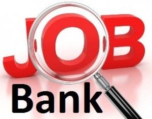 Banking and Financial Services Jobs in Pakistan – 2025