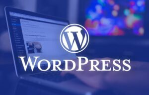 Person using WordPress on laptop